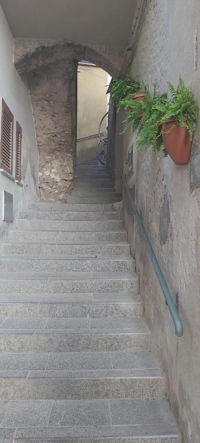 Casa Del Gelso Villa Pisciotta Exteriör bild
