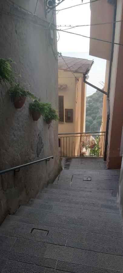 Casa Del Gelso Villa Pisciotta Exteriör bild
