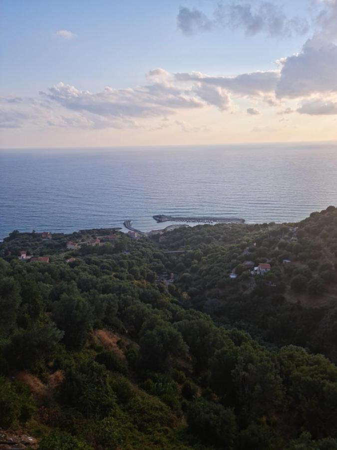 Casa Del Gelso Villa Pisciotta Exteriör bild