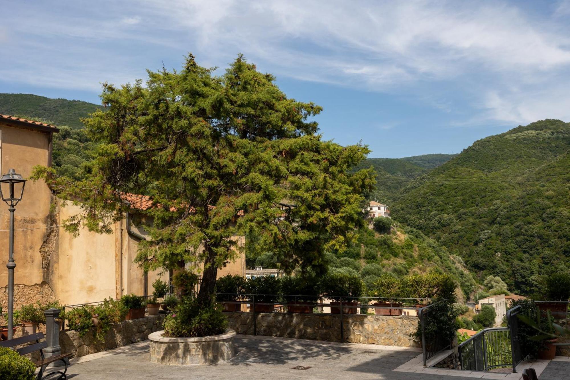 Casa Del Gelso Villa Pisciotta Exteriör bild